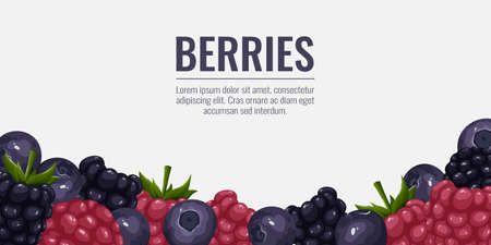 Berries background with space for text. Blueberry, raspberry, blackberry. Vector illustration of summer vitamins for banner, poster, website design, social mediaのイラスト素材