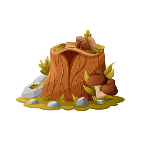 Tree stump with mushrooms, acorns, oak leaves and stones, cartoon style vector illustration, element of forest, camping, nature on isolated background for sticker, social media, website or games.のイラスト素材