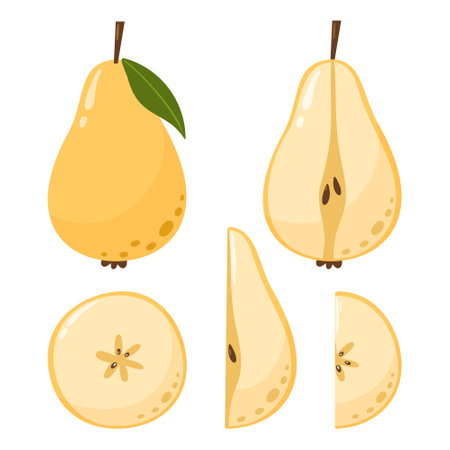 Pear collection in flat hand drawn style, vector illustration set. Slices and whole fruits, graphic design elements.のイラスト素材