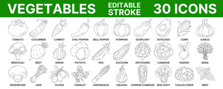 Vegetables and greens, vector minimal line icon set. Editable stroke. Vegetable icon set. Outline icons collection of veggies. Concept of farming, vegetarian food, proper nutritionのイラスト素材