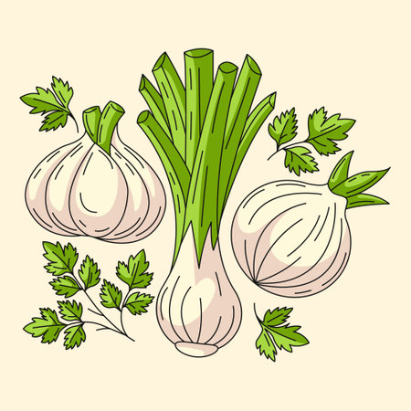 Square card with parsley, leek, onion and garlic. Seasonal harvest, vegetables, natural eco organic veggies and greens. Composition for postcard, poster, template, social mediaのイラスト素材