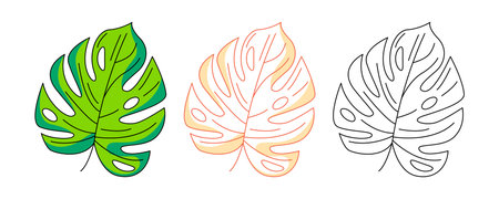 Tropical monstera leaf, jungle plant, colorful and line icons set. Summer vector outline icon, monochrome and color illustration. Holiday and vacation, summertime. For logoのイラスト素材