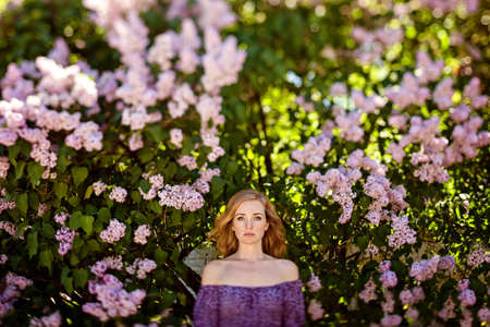 Portrait of beautiful sensual redheaded girl with freckles and clear blue eyes in the sprigs of lilac in the summer, shot in tilt-shiftの写真素材