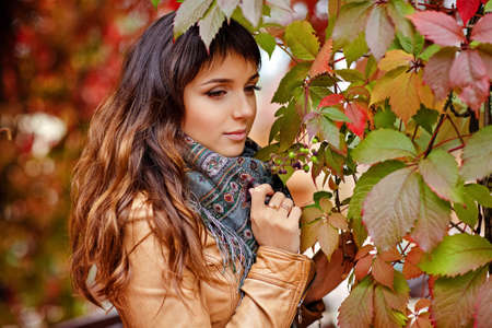 Beautiful and very charming young brunette girl smiles and looks down at the background of red vine leaves in autumn, close-upの写真素材