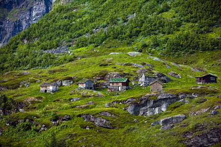 Small houses with grass roofs in Norway in summerの写真素材