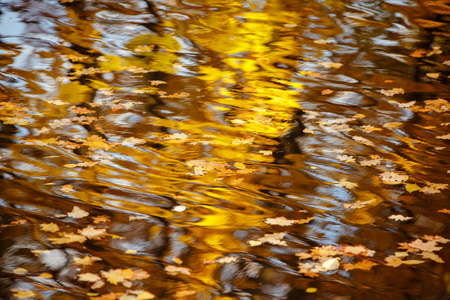 reflections in the water, abstract autumn background