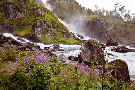 very beautiful waterfall in Norway with fast-flowing water, rocks and flowers in the summerの写真素材