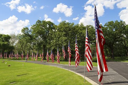 A patriotic display of American flags in a row along a roadsideの写真素材