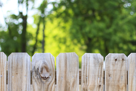 Looking over a backyard fence with trees in the backgroundの写真素材