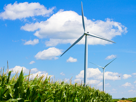 Wind turbines providing clean energy in a corn fieldの写真素材