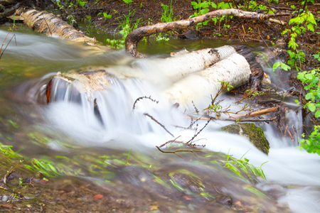 A mountain stream flowing over logs in Glacier National Park, Montanaの写真素材