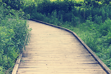 Wooden boardwalk in a forest, retro vintage colorationの写真素材
