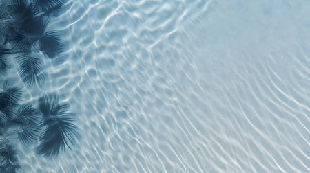 Palm trees reflected in the sea water. Summer background. Top view.の素材