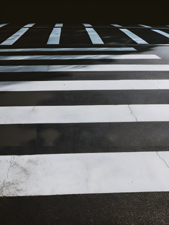 Zebra crossing in the city, detail of a zebra crossingの素材