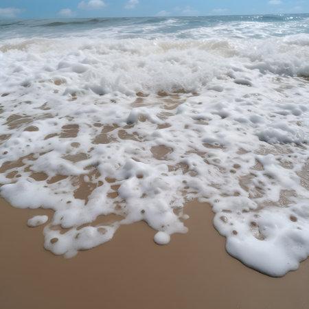 Soft wave of the sea on the sandy beach. Selective focus.の素材