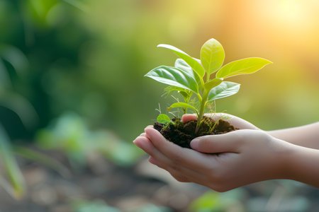 Hands holding young green plant growing in soil on blurred nature backgroundの素材