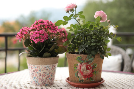 Two vibrant potted plants sit atop a round table on a patio. One features pink blooms while the other is adorned with cross-stitch embroidery. The sun shines softly, highlighting their beauty.の写真素材