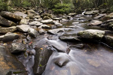 It is a water spring in forest.の写真素材