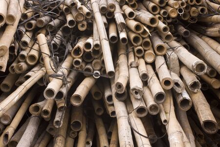 it is a lot of bamboos for chinese construction siteの写真素材