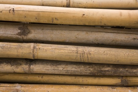 it is a close up of bamboo for backgroundの写真素材