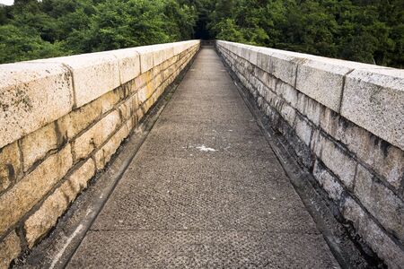 long path to the forest at dayの写真素材