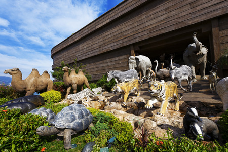 noah's arkの写真素材
