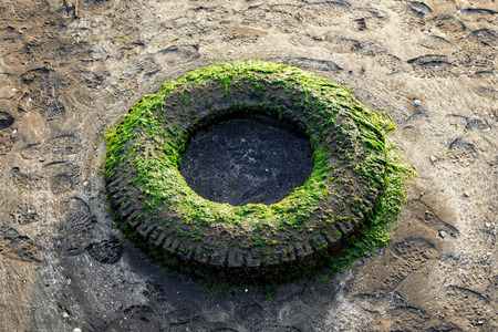 chlorella old tyre at beachの写真素材
