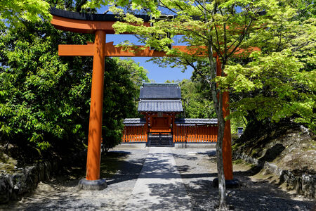 Japan temple at day in forest