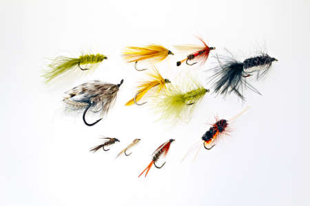 An assortment of fishing flies
