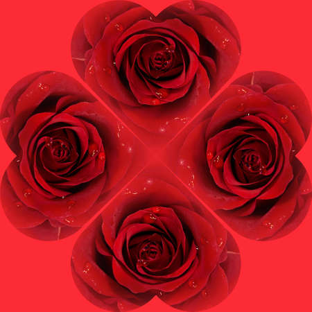 Red Rose Valentine Love Heartsの写真素材