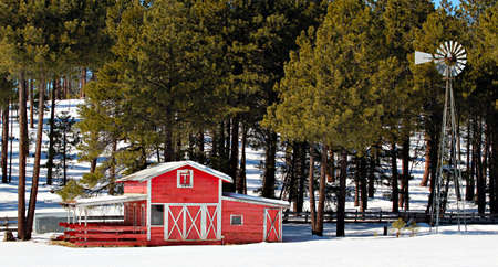 Winter scene of red barn trees snow and windmill