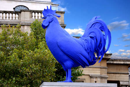 LONDON, UK - 17 AUG  Hahn Cock a sculpture of a giant blue cockerel by the German artist Katharina Fritsch in Trafalgar Square London, Uk on 17 August 2013  のeditorial素材