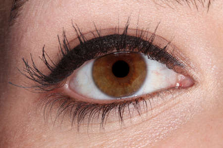 close up of a human eye