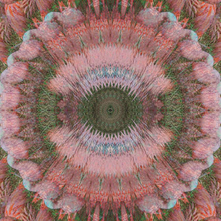 Unique abstract kaleidoscope background design.の写真素材