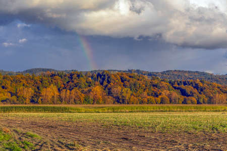 Fall colors in the Snoqualmie Valleyの写真素材