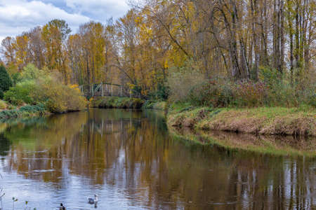 Autumn colors on the Samammish River, Bothell, WAの写真素材