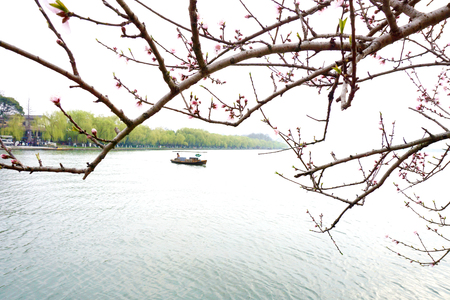 Southern lake sceneryの写真素材