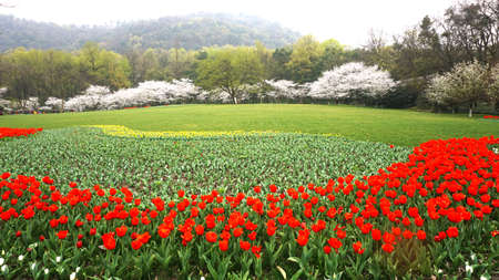 Landscapeの写真素材