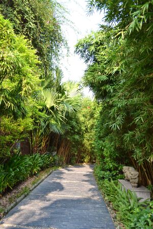 Garden aisleの写真素材