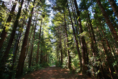 Cphoto080400038