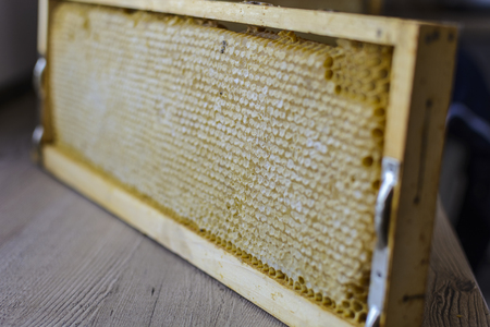 honey  frame front view. made of wood and full of honey hided by the waxの写真素材