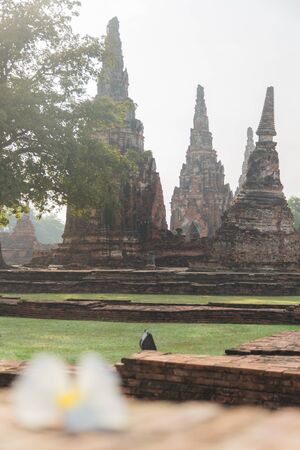 Flowers Ruins in Ayutthayaの写真素材