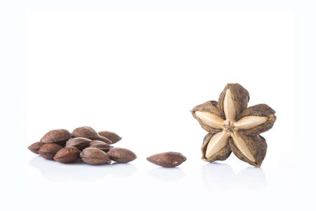 Dried Sacha Inchi raw seed nuts on white table and background with copy space