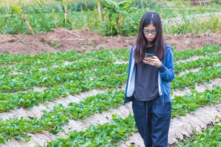 young asian teenager using mobile phone technology outdoor in strawberry field, showing no boundary in learningの写真素材