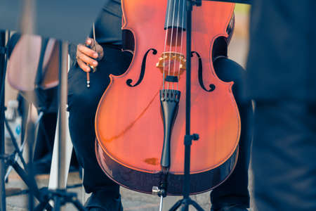 close up of male cellist holding cello at an outdoor concert, during warm golden hour evening light, good for music or self interest theme conceptの写真素材