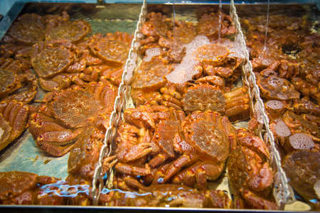 Live kegani, Hairy crabs or horsehair crabs, in water container being sold in Japanese fresh market in Otaru, Hokkaido, Japanの写真素材