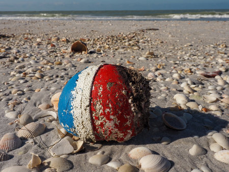 An old  ball float with barnacles attached found washed up on the beach amongst shells. Cayo Costa Floridaの写真素材
