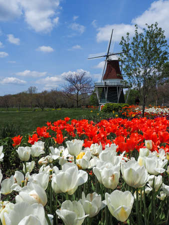 A spring day in Holland Michiganの写真素材