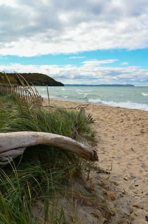 Vertical image of beachgrass on a sandy shoreline at Saugatauk, Michigan. Small whitecaps rolling in under blue sky.の写真素材