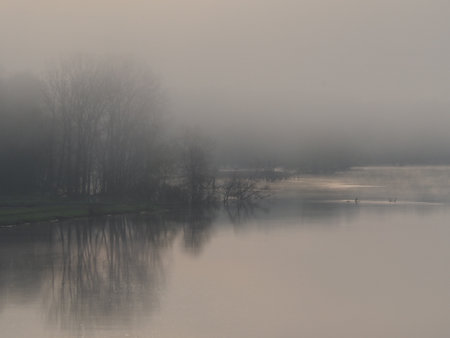 A foggy morning landscape view of trees reflected in still waterの写真素材